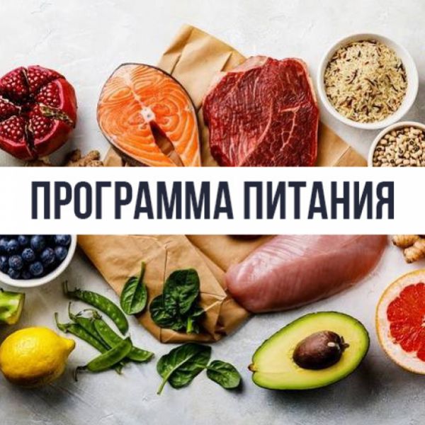 Программа питания